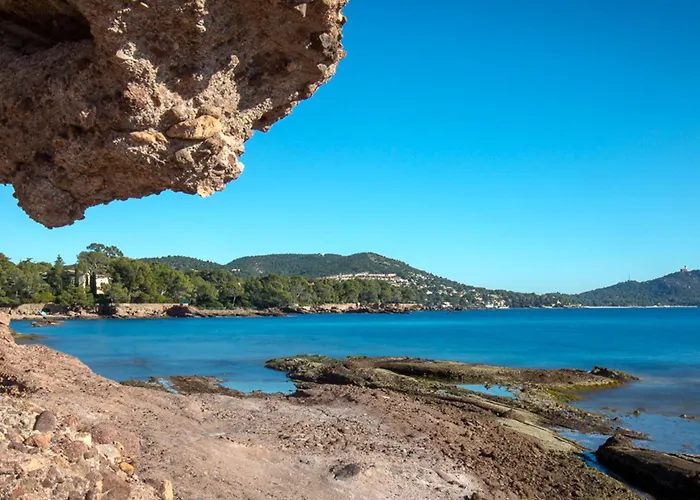 Climatise Avec Terrasse, A 50m De La Et Proche Commerces, Gare Et Centre-ville. - Fr-1-466a-9